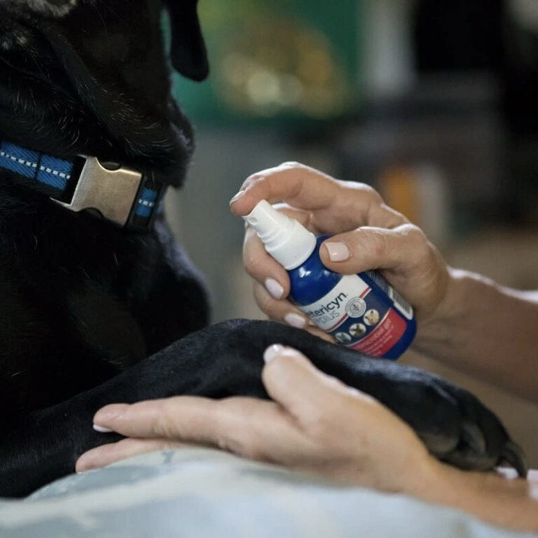 Vetericyn Plus Hot Spot Spray Relief For All Animals